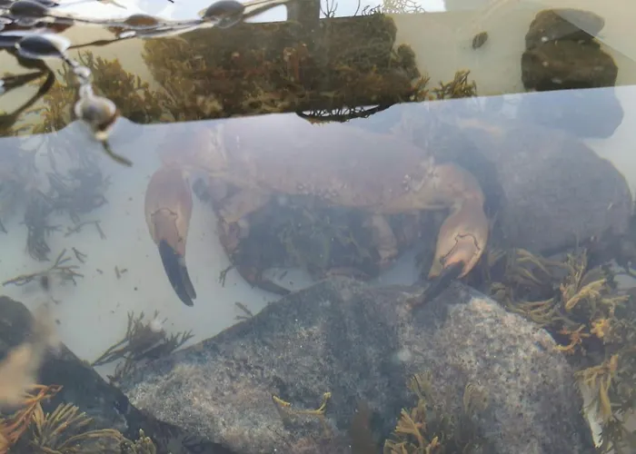 Wharf In Sorvagen - Lofoten Moskenes